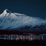 Traditional Arctic *