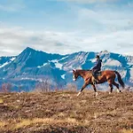 Traditional Arctic Casa vacanze Sorlenangen