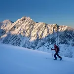 Traditional Arctic
