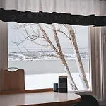 Traditional Arctic
