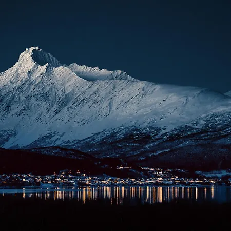 Traditional Arctic *