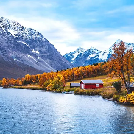 Traditional Arctic *
