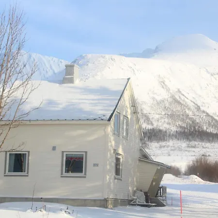 Traditional Arctic