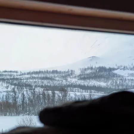 Traditional Arctic * Sorlenangen