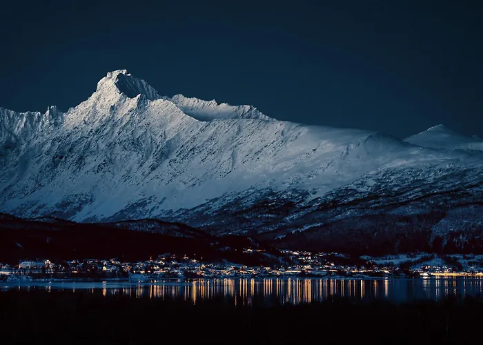 Traditional Arctic *