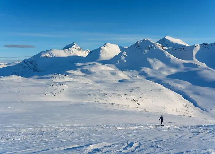 Traditional Arctic 펜션 *