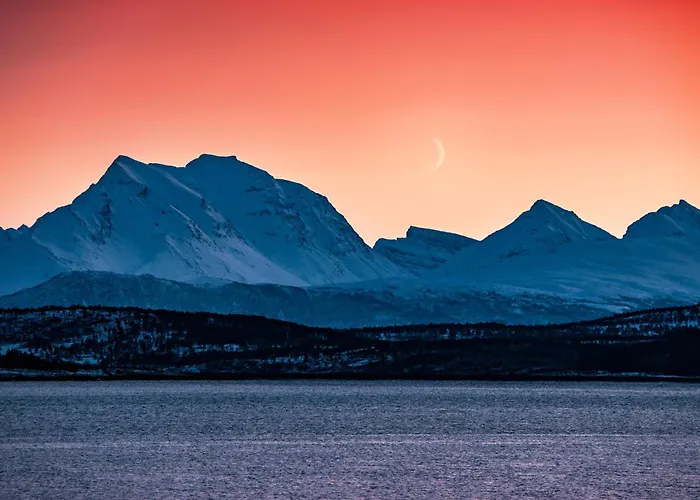 펜션 Traditional Arctic