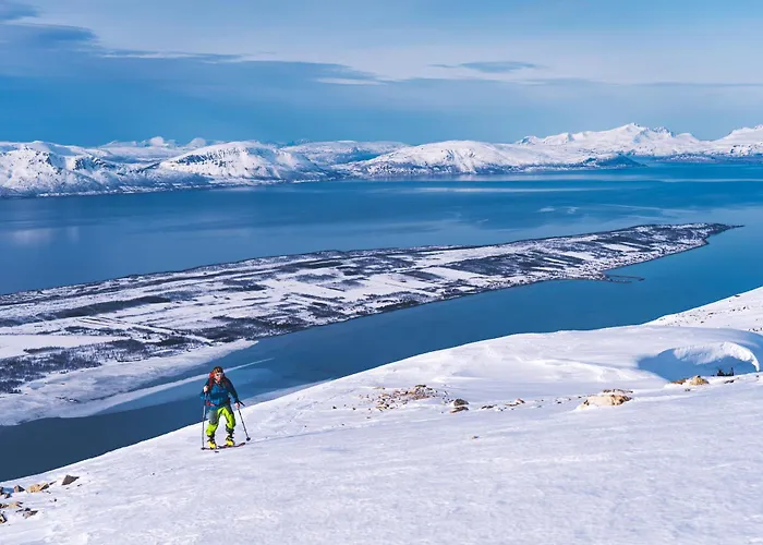 Traditional Arctic 別荘 Sørlenangen