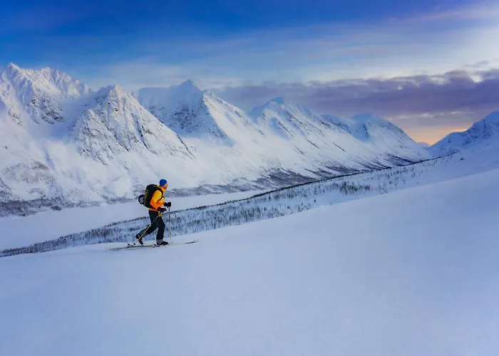 펜션 Traditional Arctic