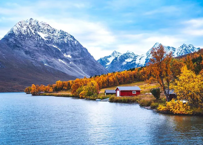 Traditional Arctic *