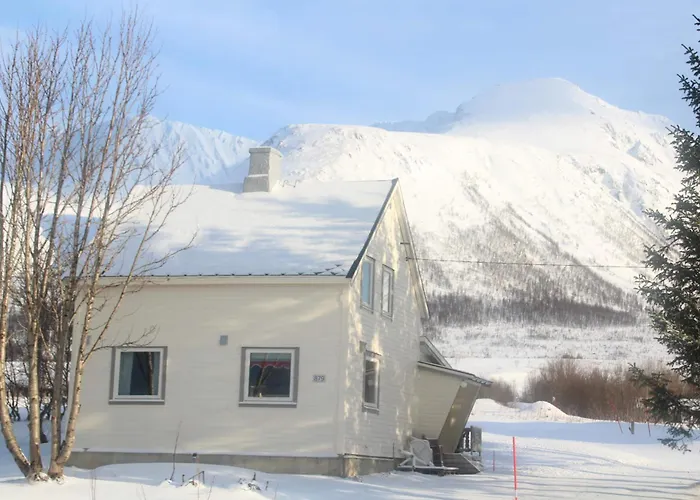 Traditional Arctic